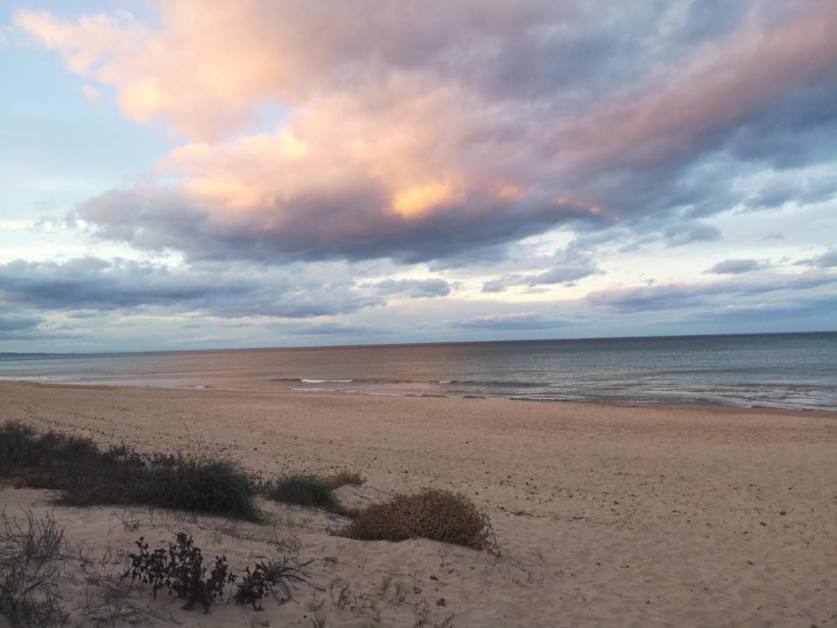 Apartamento Con Vistas Al Mar Oliva Luaran gambar