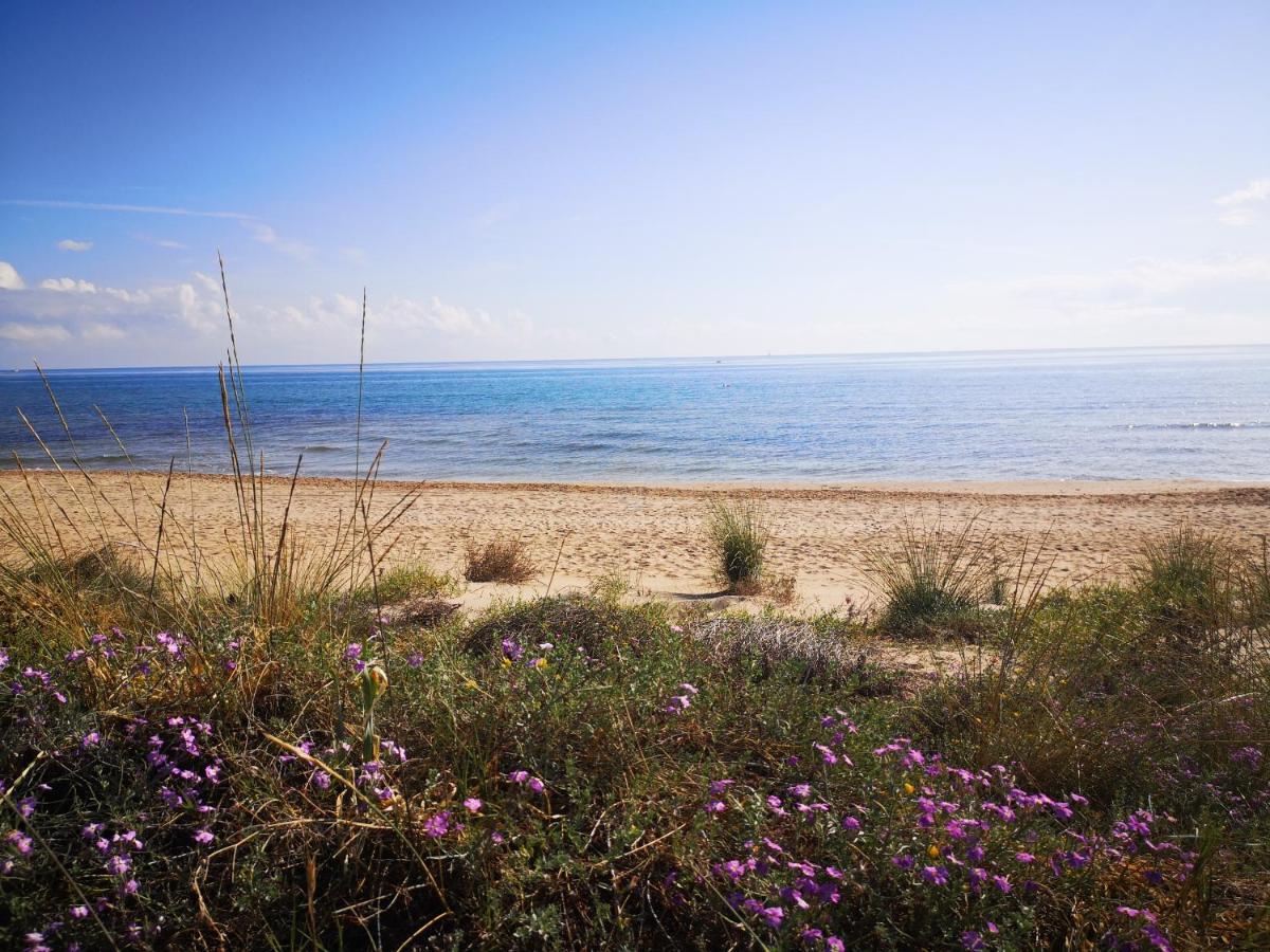 Apartamento Con Vistas Al Mar Oliva Luaran gambar